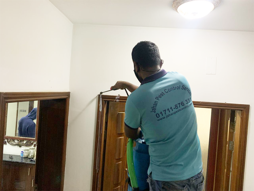 Pest Control in Chittagong