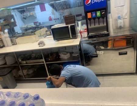 commercial rat control