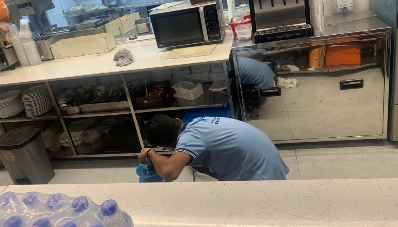 Restaurant Pest Control Service in Dhaka
