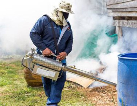 Spot Fumigation Pest Service​