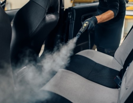 Vehicle and Container Fumigation Pest​