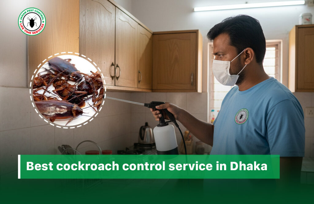 cockroach control service in Dhaka