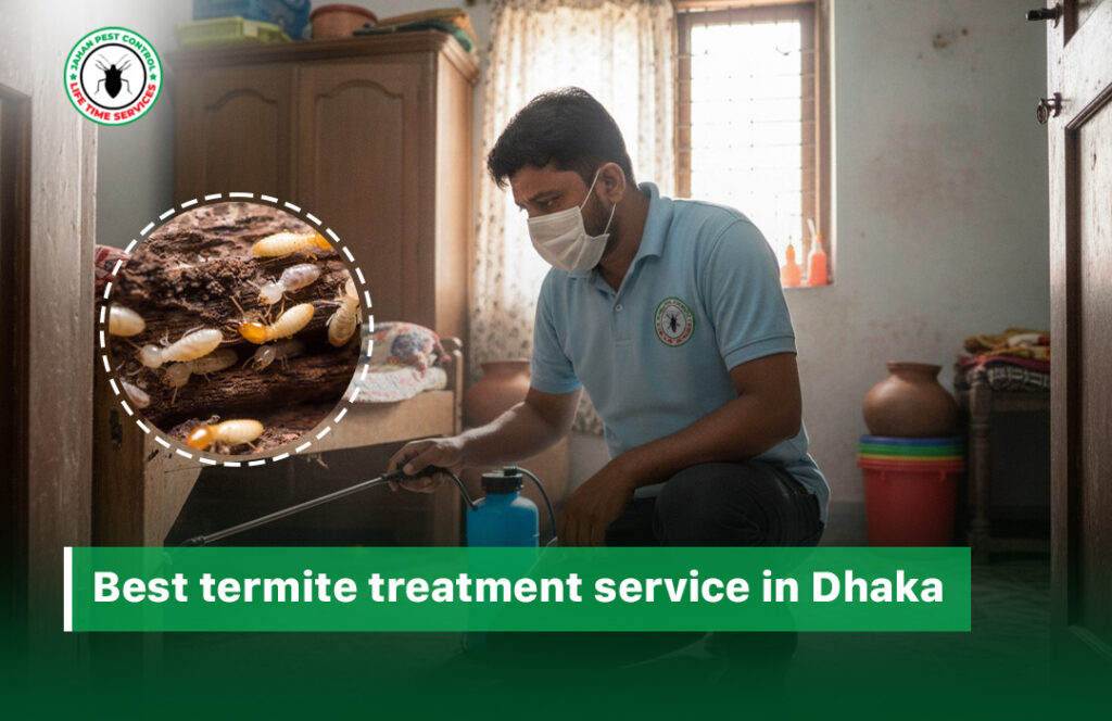termite treatment service in dhaka