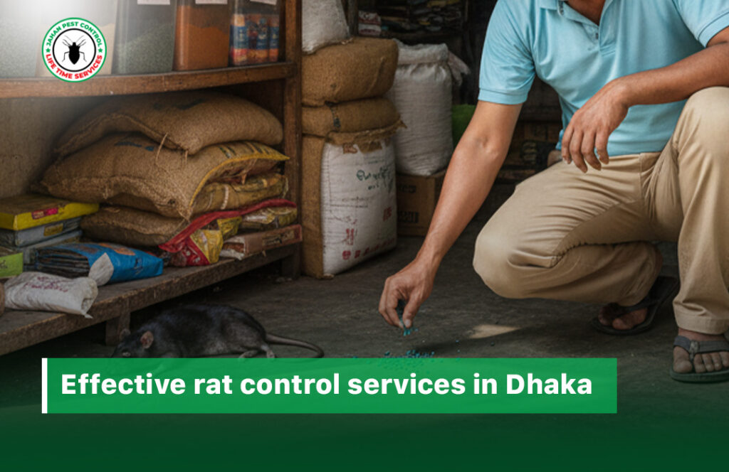 rat control services in dhaka