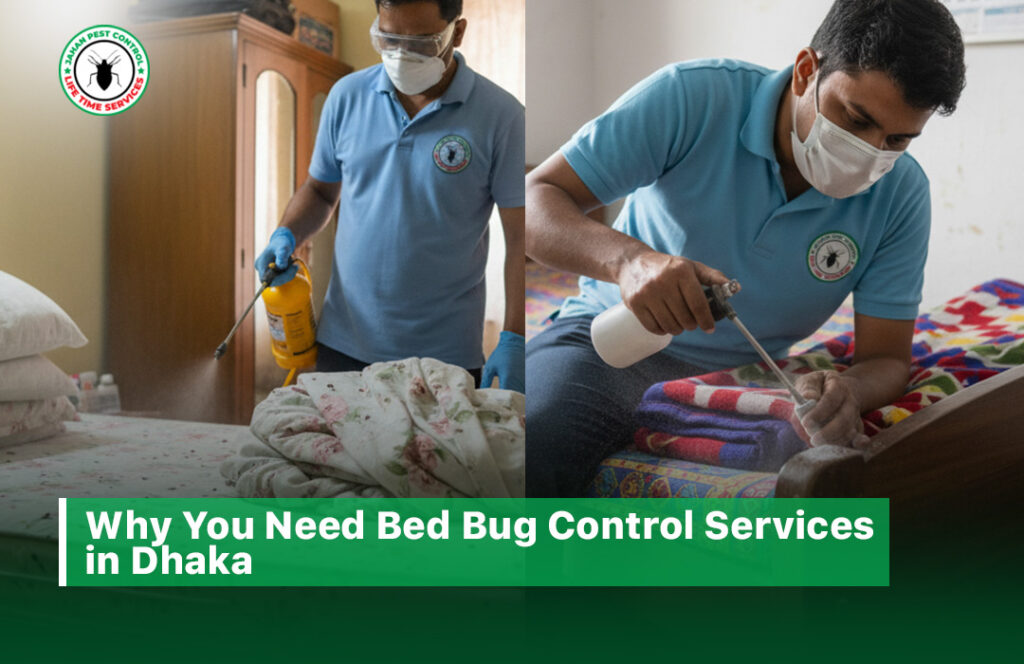 bed bug control services in dhaka