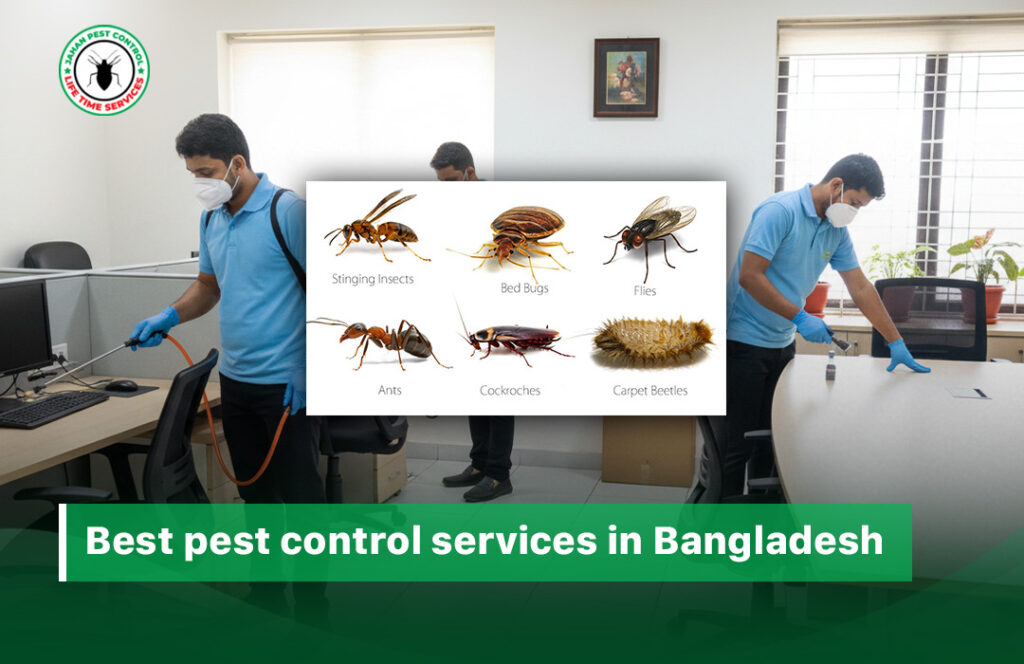 best pest control services in Bangladesh