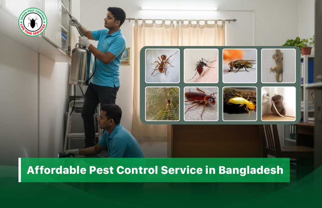 Affordable Pest Control Service in Bangladesh
