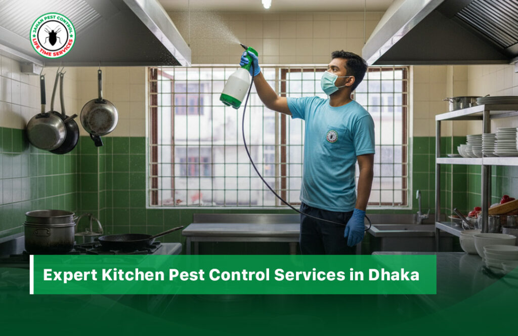 kitchen pest control services in Dhaka