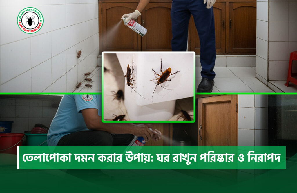 তেলাপোকা দমন করার উপায়