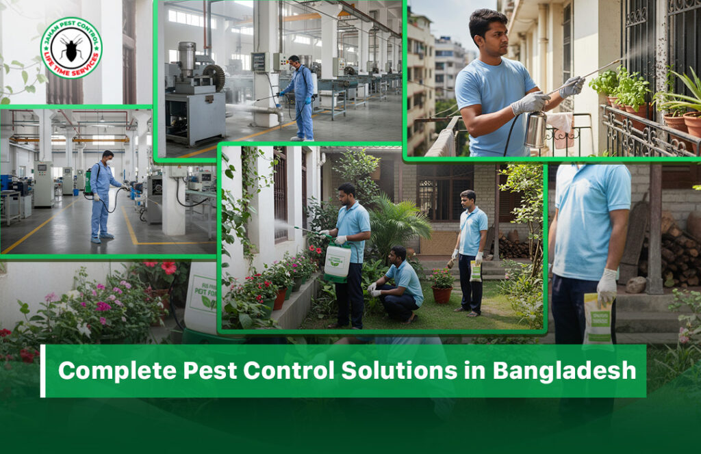 Pest Control Solutions in Bangladesh