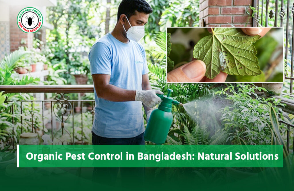organic pest control in Bangladesh