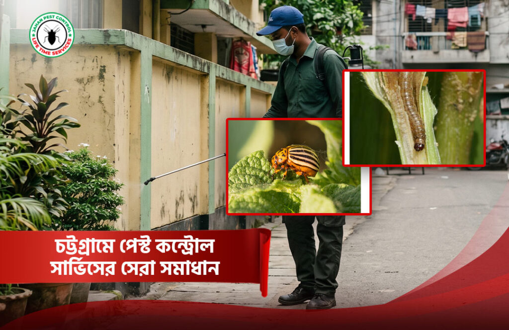 চট্টগ্রামে পেস্ট কন্ট্রোল