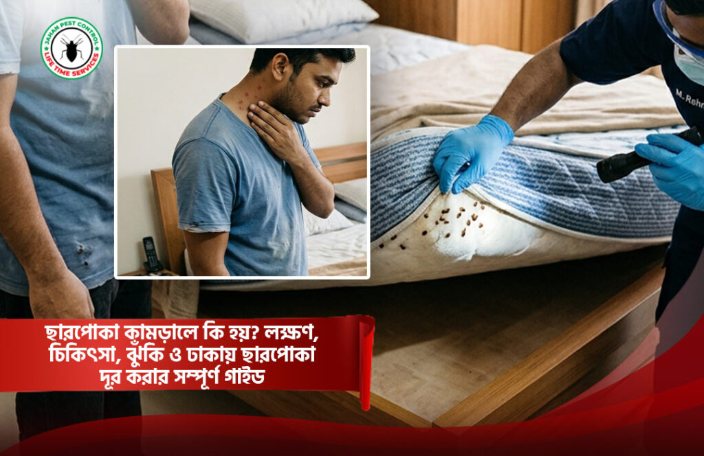 ছারপোকা কামড়ালে কি হয়